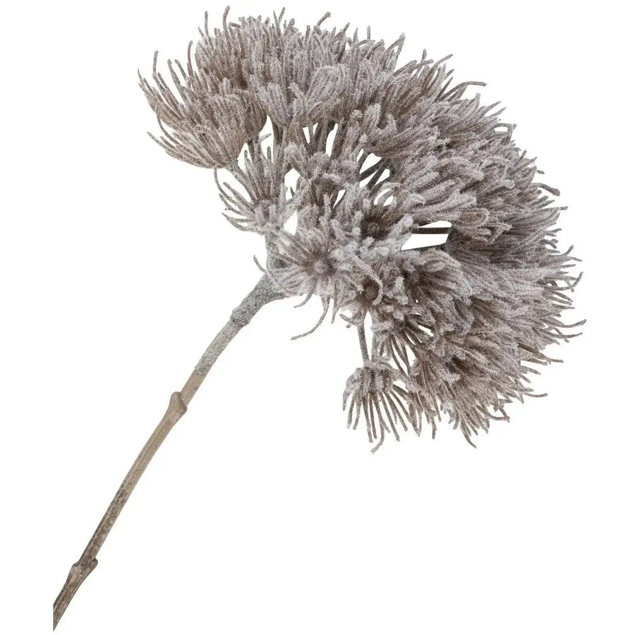 House Nordic Kunstig plante 75 x 20 cm 2