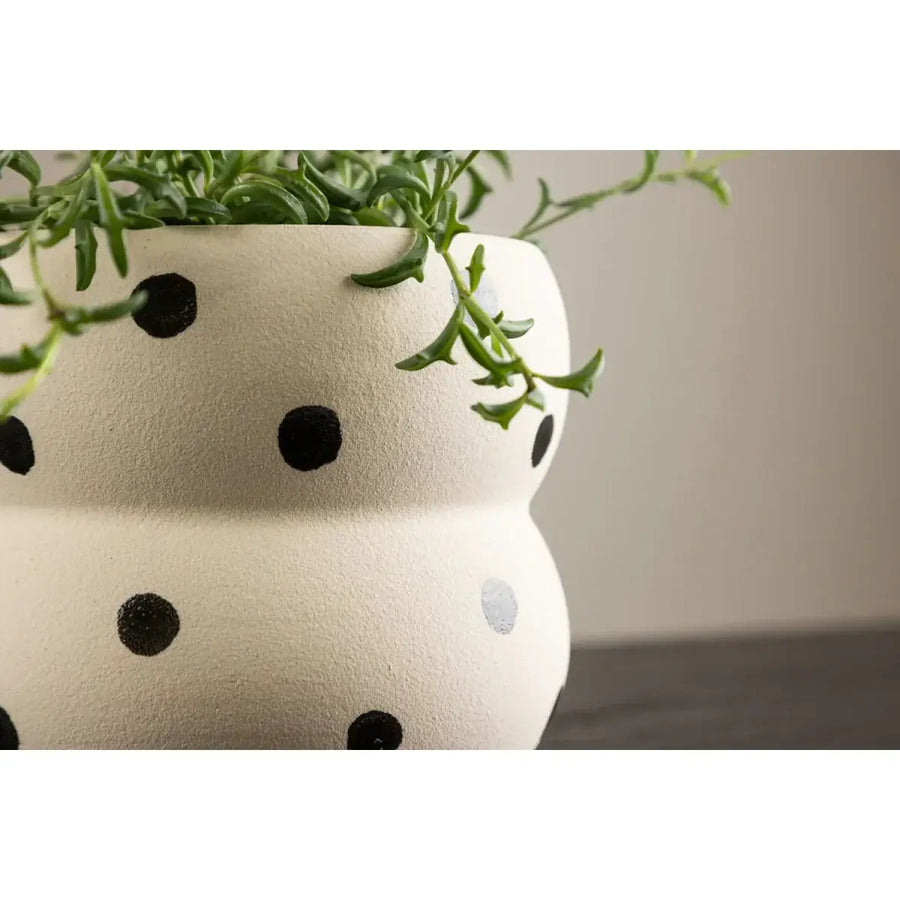 Dapne Urtepotteskjuler 16 x 16 x 13 cm 11