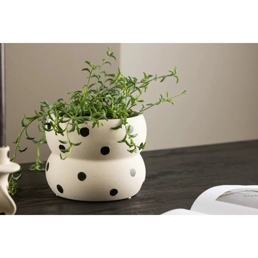 Dapne Urtepotteskjuler 16 x 16 x 13 cm 12