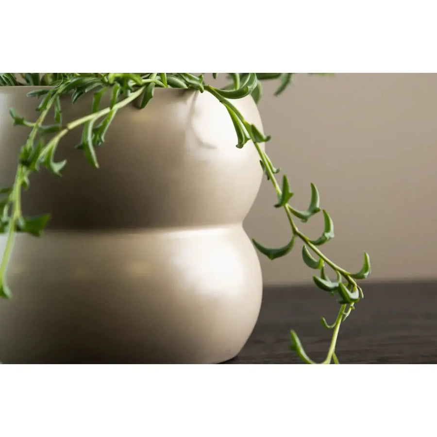 Dapne Urtepotteskjuler 16 x 16 x 13 cm 7