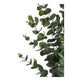Eukalyptus Kunstig plante 120 x 46 x 36 cm