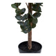 Eukalyptus Kunstig plante 120 x 46 x 36 cm