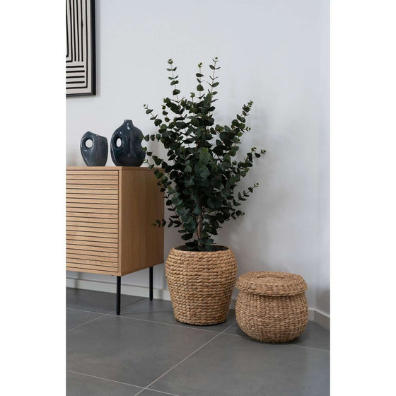 Eukalyptus Kunstig plante 120 x 46 x 36 cm