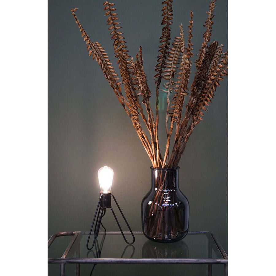 Ignis LED-Pære Dæmpbar E27 2