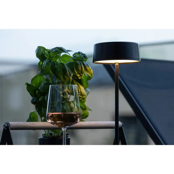 Tern Bordlampe